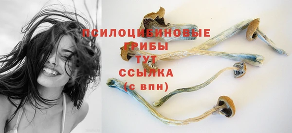 МДПВ Покров
