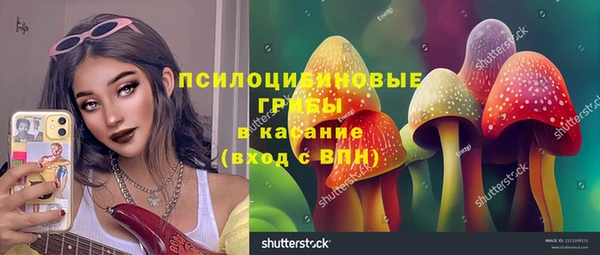 МДПВ Абаза