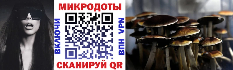 цены   Балахна  ссылка на мегу онион  Псилоцибиновые грибы Cubensis 